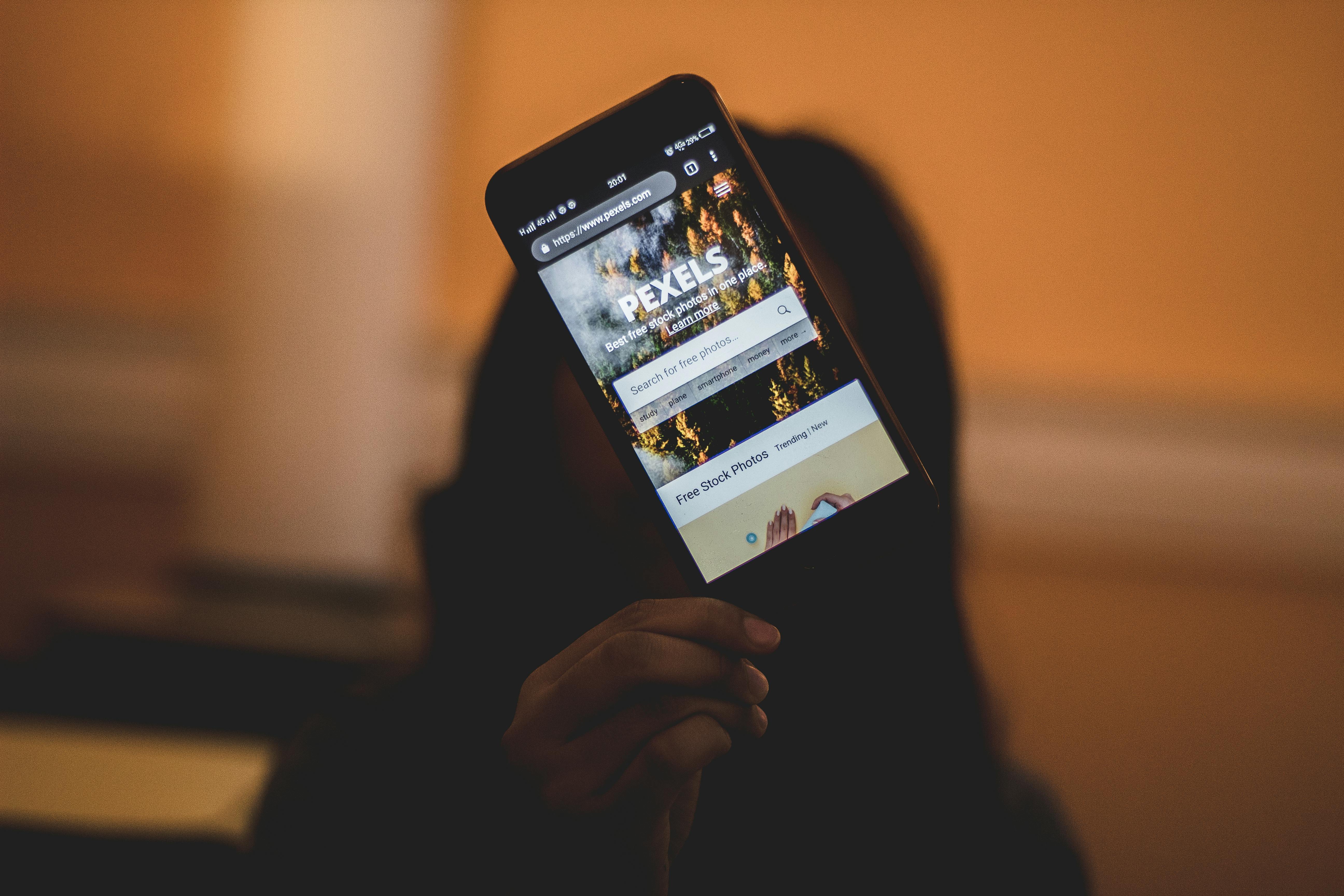 Web Applications / Interactive Platforms